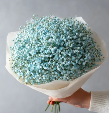 Монобукет из голубой гипсофилы