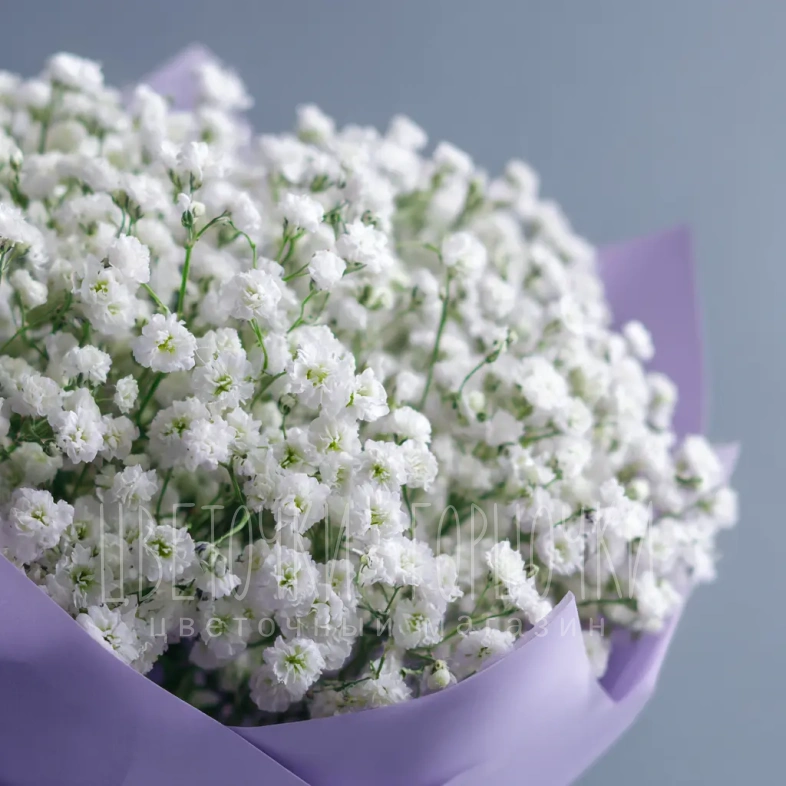 Монобукет из гипсофилы &laquo;Облачная нега&raquo;