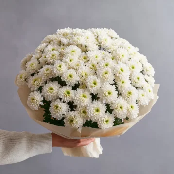 Монобукет из хризантем «Белое облако»