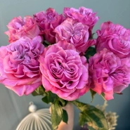 Пионовидная роза 1шт-350 руб 0