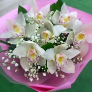 Орхидеи Нежности 0