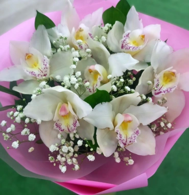 Орхидеи Нежности