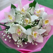 Орхидеи Нежности 1