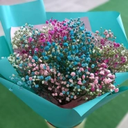 Воздушная гипсофила 0