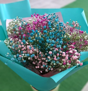 Воздушная гипсофила