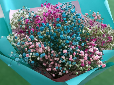 Воздушная гипсофила