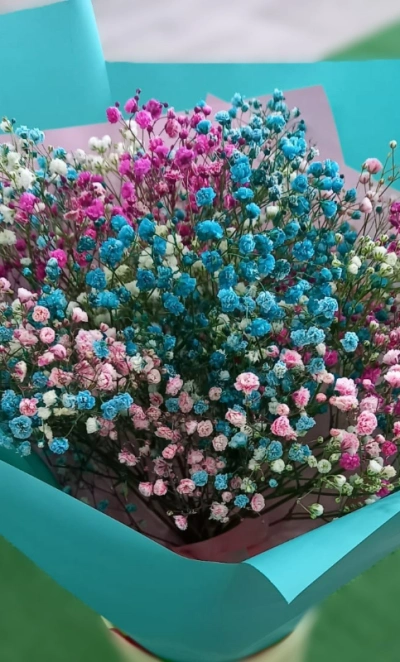 Воздушная гипсофила