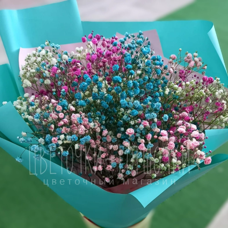 Воздушная гипсофила