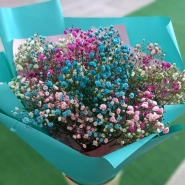 Воздушная гипсофила 1