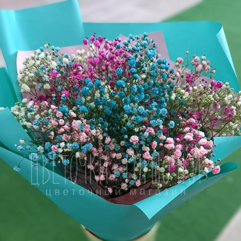 Воздушная гипсофила