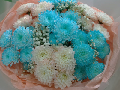 Небесные хризантемы