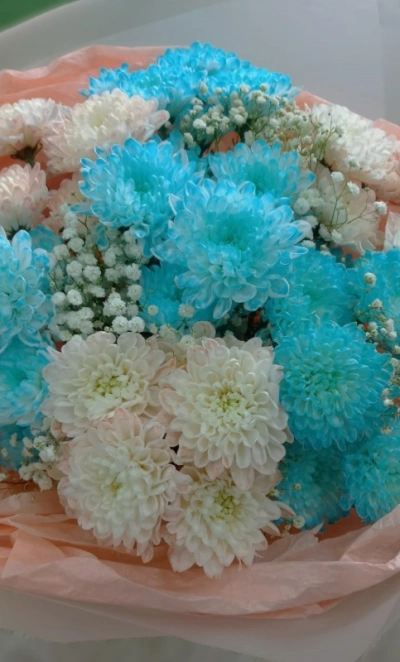 Небесные хризантемы