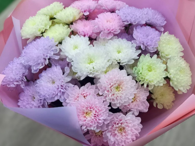 Нежный градиент весны