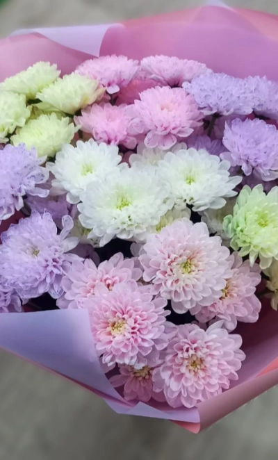 Нежный градиент весны