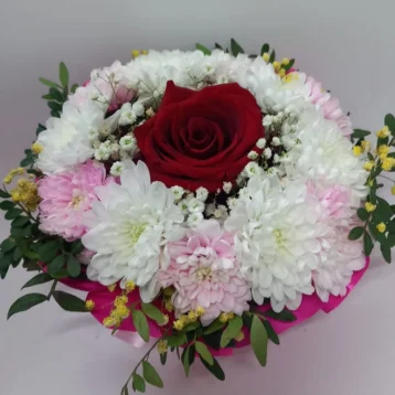 Розовый праздник