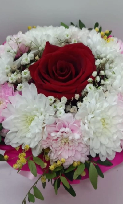 Розовый праздник