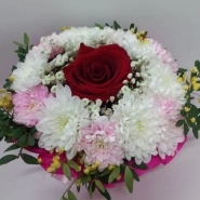 Розовый праздник 1