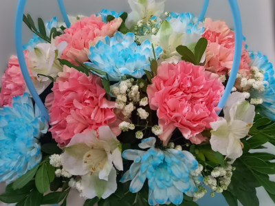 Небесный сюрприз