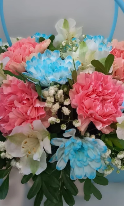 Небесный сюрприз