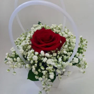 Королевская красота