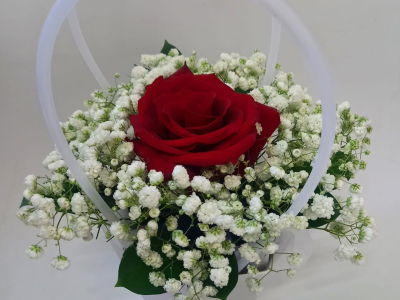 Королевская красота