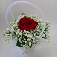 Королевская красота 1