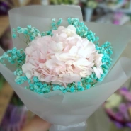 Нежное обаяние  0