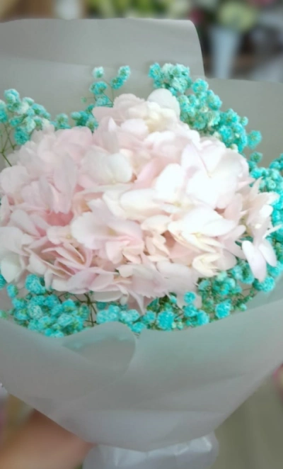 Нежное обаяние 