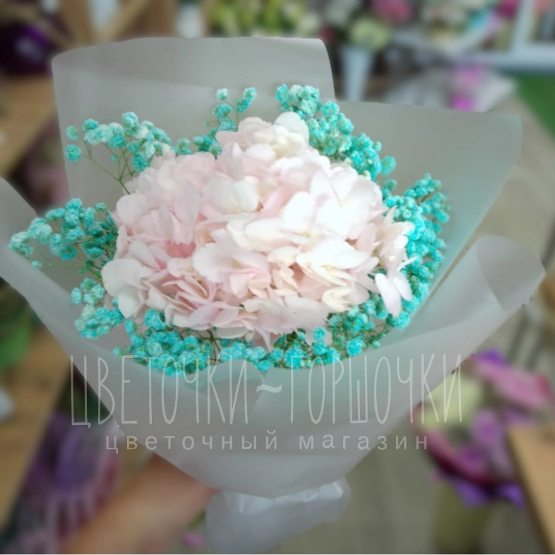 Нежное обаяние 