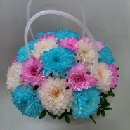 Веселые хризантемы 0