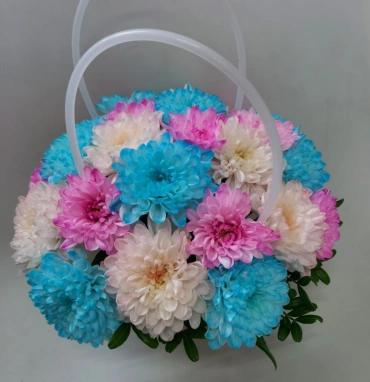 Веселые хризантемы