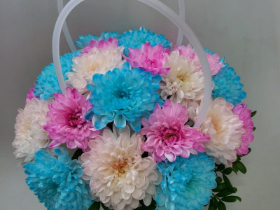 Веселые хризантемы