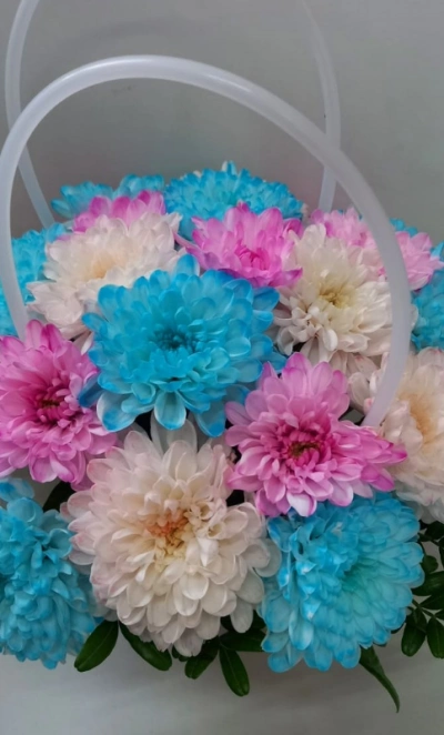 Веселые хризантемы