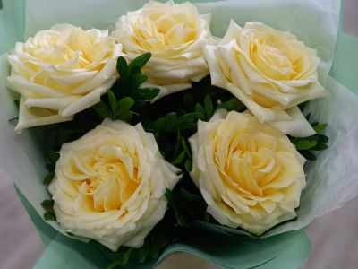 Пионовидные розы