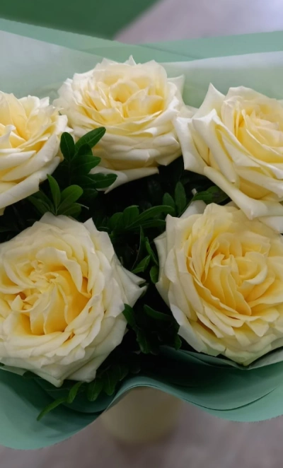 Пионовидные розы