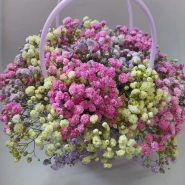 Розовая гипсофила 0