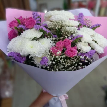 Комплемент