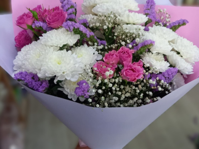 Комплемент