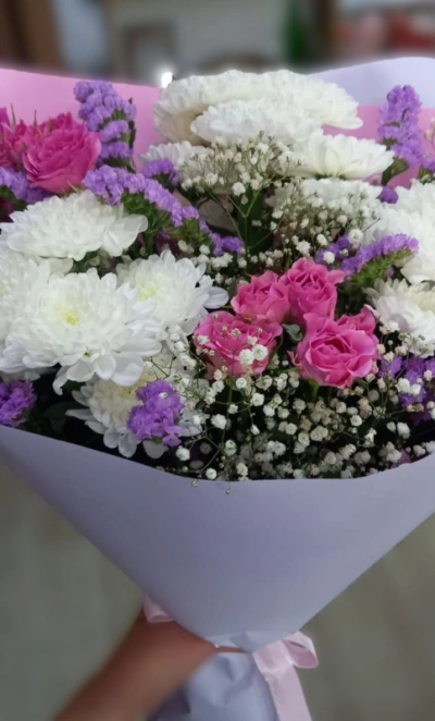 Комплемент