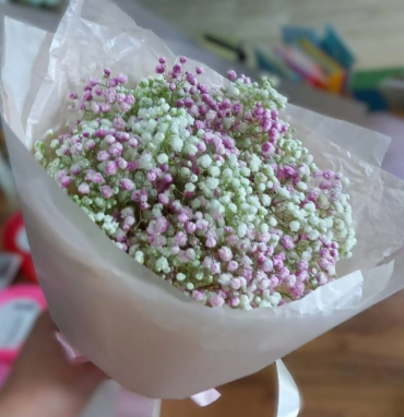 Нежная гипсофила