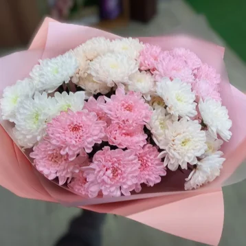 Очаровательные хризантемы