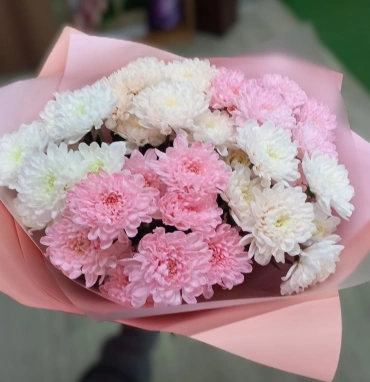 Очаровательные хризантемы