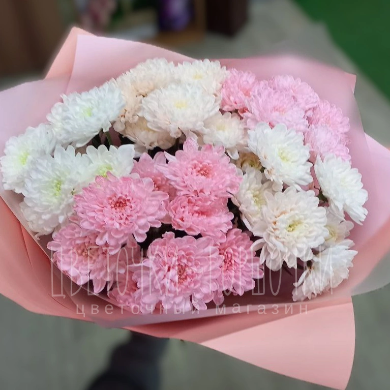 Очаровательные хризантемы