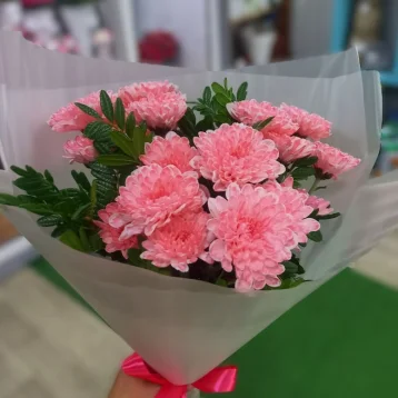 Брусничная мечта