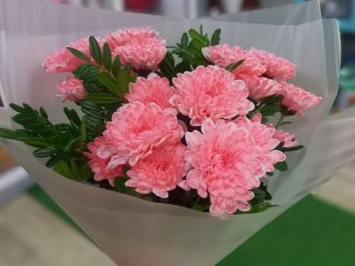 Брусничная мечта