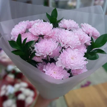 Нежные хризантемы