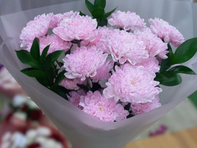 Нежные хризантемы