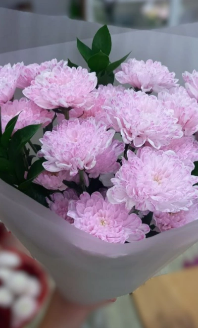 Нежные хризантемы