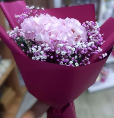 Розовая гортензия