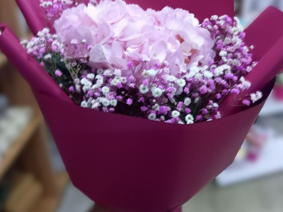 Розовая гортензия